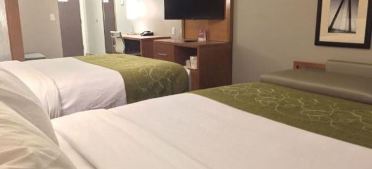 Hotel Comfort Suites North Charleston - Ashley Phosphate Charleston (Sc) : Photo 
