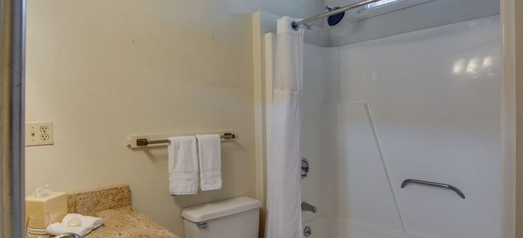 Hotel 27 State Street Bed &Amp; Breakfast Charleston (Sc) : Photo 