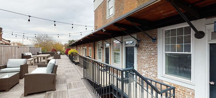 563 King Signature Apartments Charleston (Sc) : Photo 