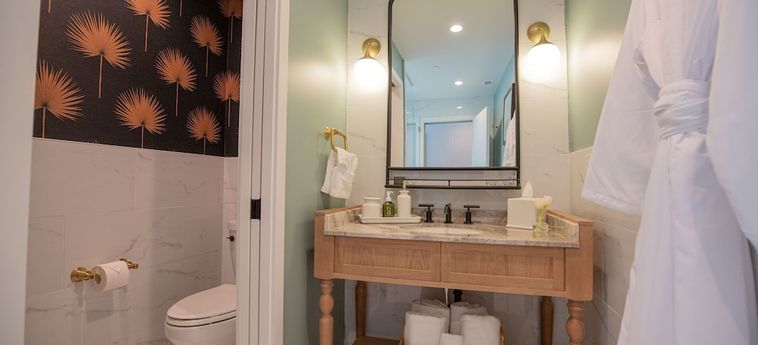 The Palmetto Hotel Charleston (Sc) : Photo 