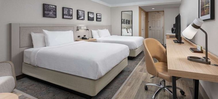 Hotel Hilton Garden Inn Chattanooga Downtown Chattanooga (Tn): Foto 