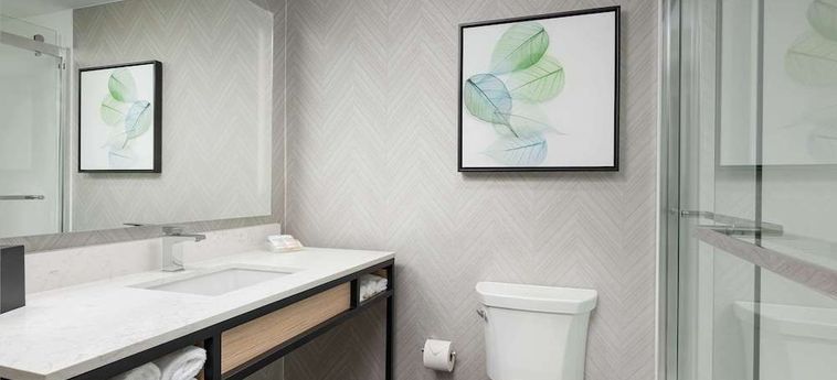 Hotel Hilton Garden Inn Chattanooga Downtown Chattanooga (Tn): Foto 