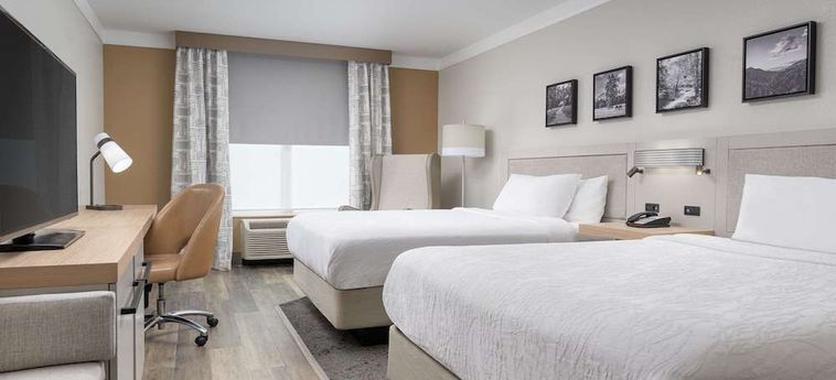 Hotel Hilton Garden Inn Chattanooga Downtown Chattanooga (Tn) : Photo 