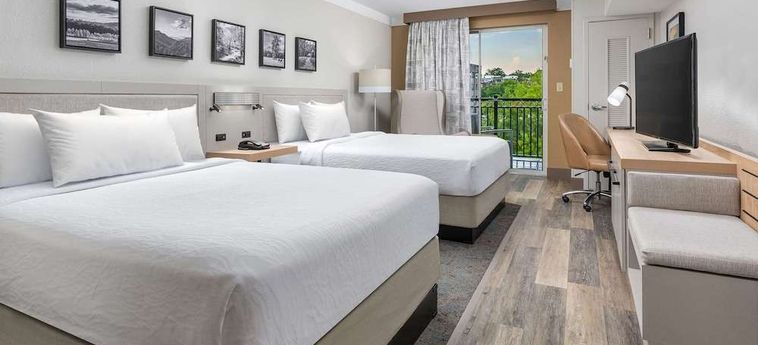 Hotel Hilton Garden Inn Chattanooga Downtown Chattanooga (Tn) : Photo 