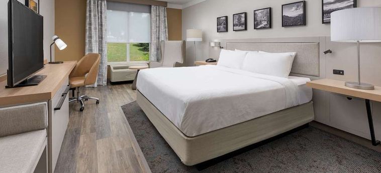 Hotel Hilton Garden Inn Chattanooga Downtown Chattanooga (Tn) : Photo 