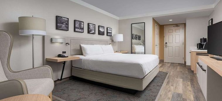 Hotel Hilton Garden Inn Chattanooga Downtown Chattanooga (Tn) : Photo 