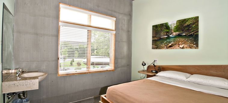 The Crash Pad - An Uncommon Hostel Chattanooga (Tn) : Photo 
