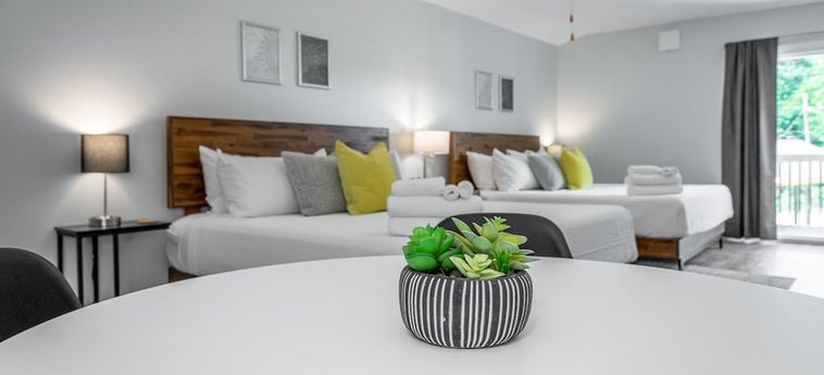 Hotel The Lodge At Lookout Mountain Chattanooga (Tn): Foto 