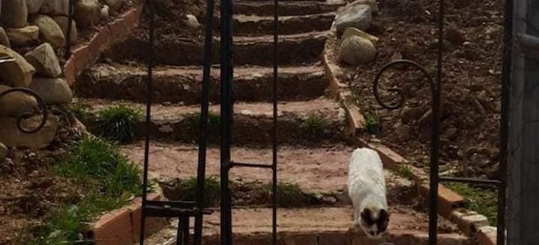 Hotel Farm Stay Ali Chefchaouen : Photo 
