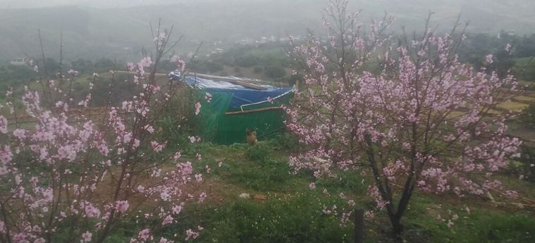 Hotel Farm Stay Ali Chefchaouen : Photo 