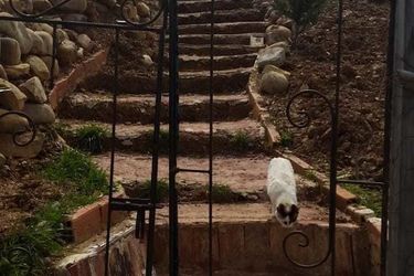 Hotel Farm Stay Ali Chefchaouen: Photo 
