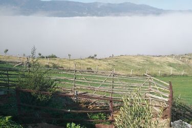Hotel Farm Stay Ali Chefchaouen: Photo 