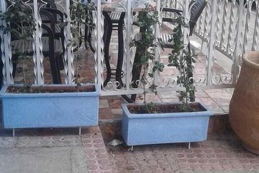 Appart'hotel Nouara Chefchaouen: Photo 