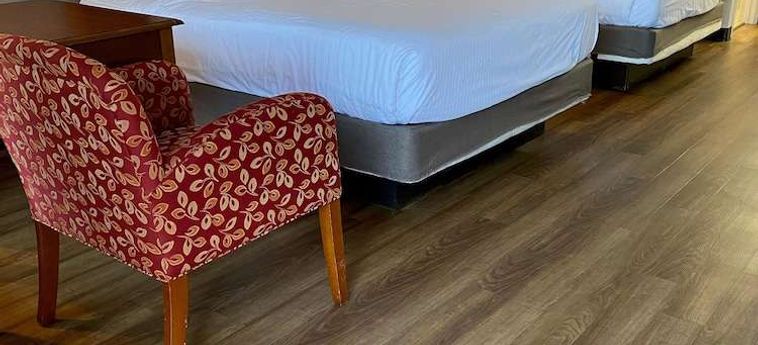 Hotel Best Western Great Smokies Inn Cherokee (Nc): Foto 