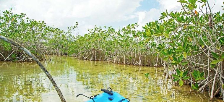 Hotel The Explorean Kohunlich Chetumal: Foto 