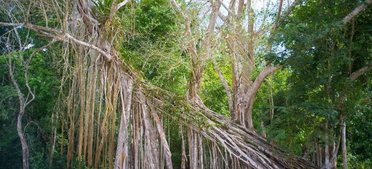 Hotel The Explorean Kohunlich Chetumal: Foto 
