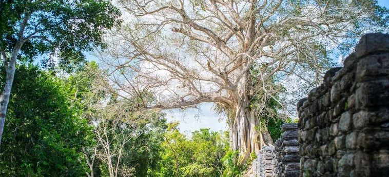 Hotel The Explorean Kohunlich:  CHETUMAL