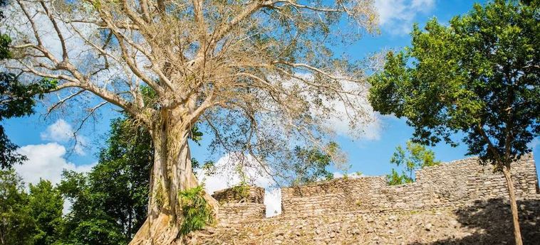 Hotel The Explorean Kohunlich Chetumal: Foto 