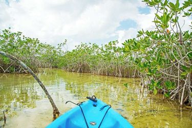 Hotel The Explorean Kohunlich Chetumal: Photo 