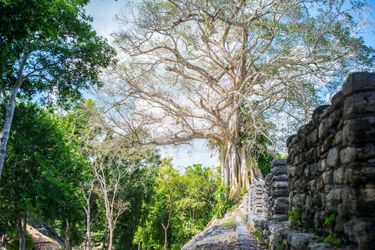 Hotel The Explorean Kohunlich Chetumal: Photo 