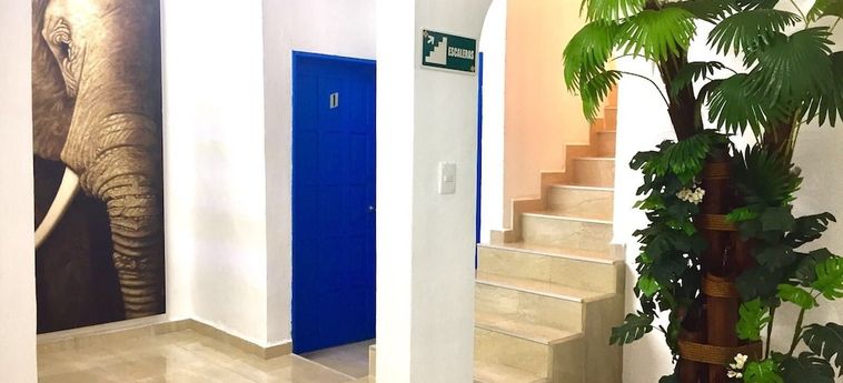 Hostel Manik Chetumal: Foto 