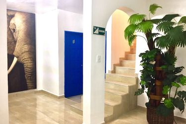 Hostel Manik Chetumal: Photo 
