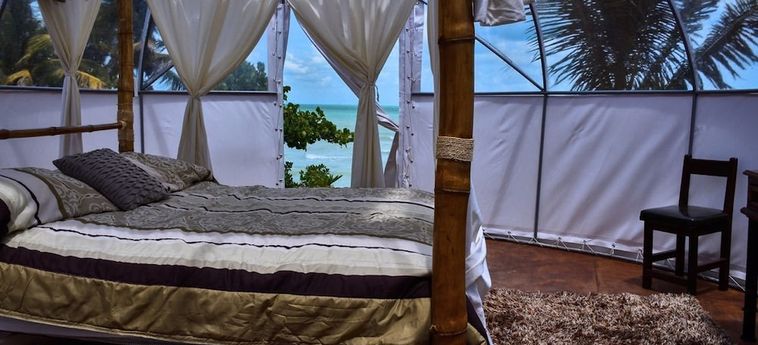 Eco Hotel Jadan Chechen Chetumal: Foto 