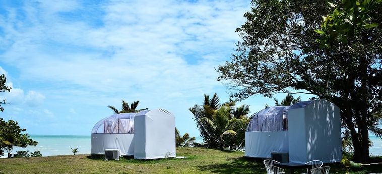 Eco Hotel Jadan Chechen Chetumal: Foto 