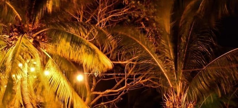 Eco Hotel Jadan Chechen Chetumal: Foto 