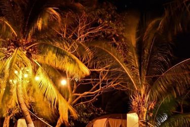 Eco Hotel Jadan Chechen Chetumal: Photo 