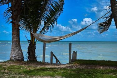 Eco Hotel Jadan Chechen Chetumal: Photo 