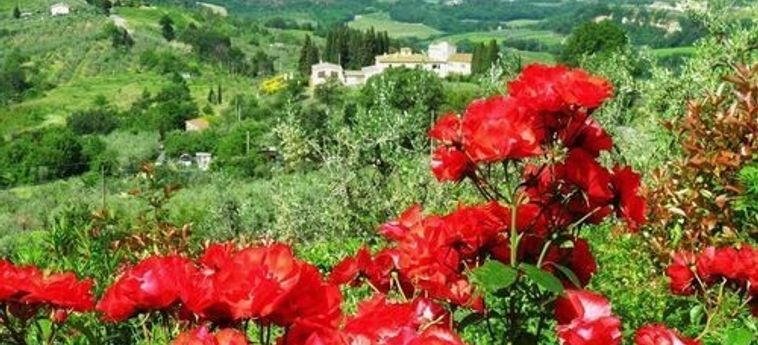Hotel Torre Tavarnelle Chianti Area: Foto 