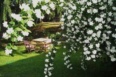 Hotel Torre Tavarnelle Chianti Area: Photo 