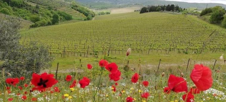 Agriturismo Crocino In Chianti Chianti Area: Foto 