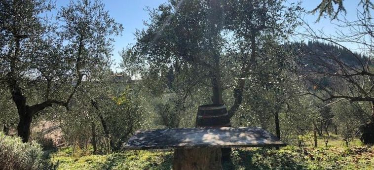 Agriturismo Crocino In Chianti Chianti Area: Foto 