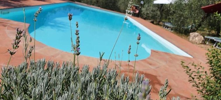 Agriturismo Crocino In Chianti Chianti Area: Photo 