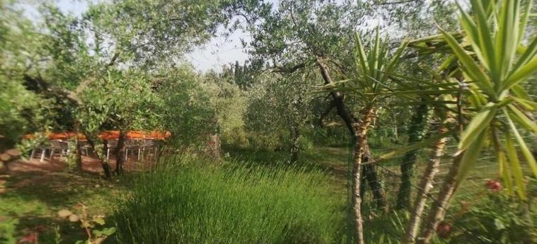 Agriturismo Crocino In Chianti Chianti Area: Photo 