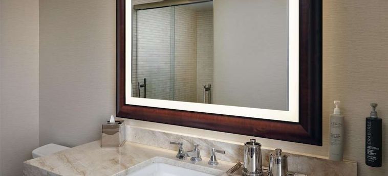 Hotel Hilton Chicago Chicago (Il): Foto 
