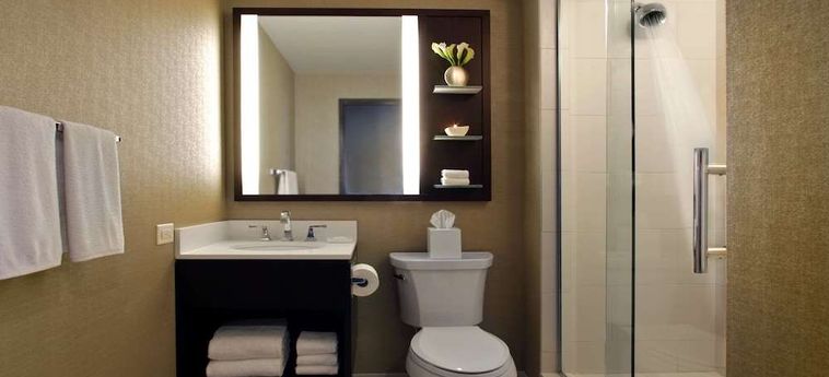 Hotel Hilton Chicago Chicago (Il): Foto 