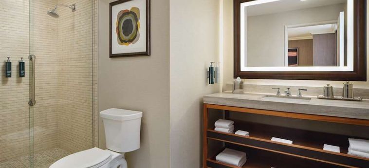 Hotel Hilton Chicago Chicago (Il): Foto 