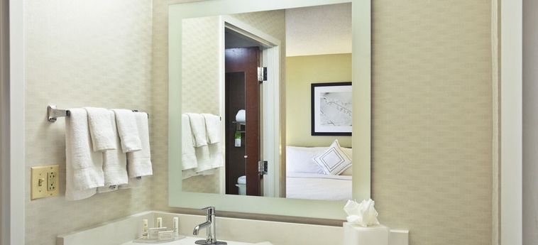 Hotel Springhill Suites By Marriott Chicago Sw Burr Ridge/hinsdale:  CHICAGO (IL)