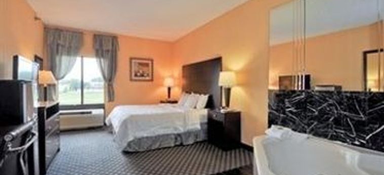 Hotel Rodeway Inn & Suites O'hare South:  CHICAGO (IL)