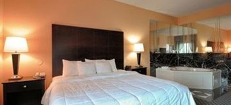 Hotel Rodeway Inn & Suites O'hare South:  CHICAGO (IL)