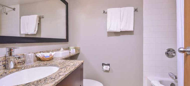 Hotel Best Western Naperville Inn Chicago (Il): Foto 