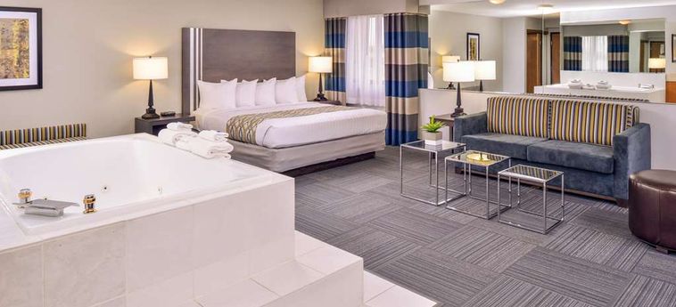 Hotel Best Western Naperville Inn Chicago (Il): Photo 