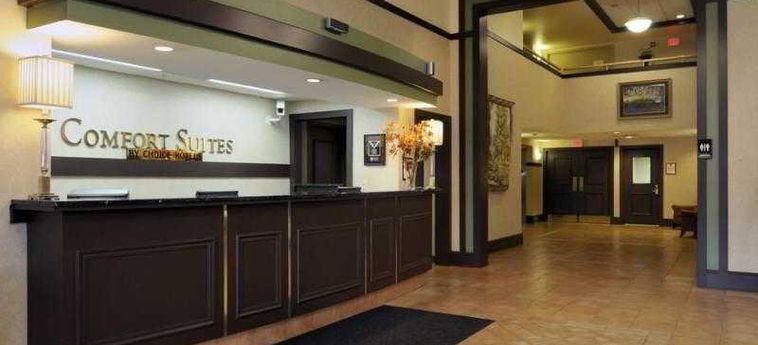 Hotel Comfort Suites Ohare Airport:  CHICAGO (IL)