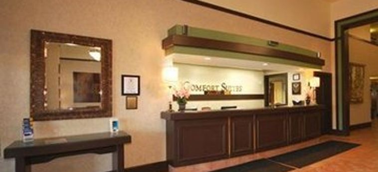 Hotel Comfort Suites Ohare Airport:  CHICAGO (IL)