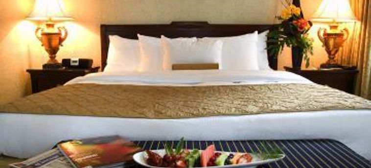 Hotel The Drake Chicago (Il): Foto 