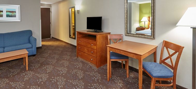 Holiday Inn Matteson Hotel & Conference Center:  CHICAGO (IL)