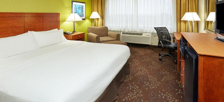 Holiday Inn Matteson Hotel & Conference Center:  CHICAGO (IL)